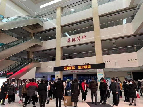 最美 冰墩墩 风雪凌晨逆行l西青医院集结100名医护支援大筛工作