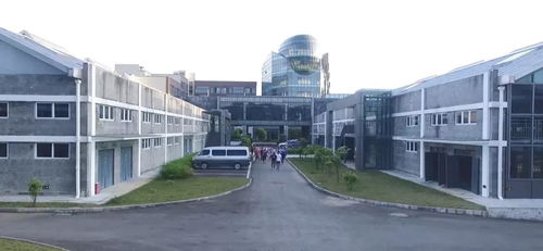 创园国际执行总裁杜树萍 不忘初心 方得始终