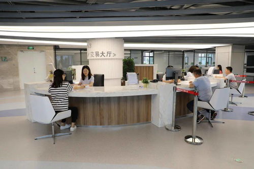 大连协美医院中心正式启动，助力区域医疗健康服务升级